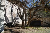 Enlarge photo 68