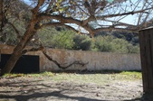 Enlarge photo 69