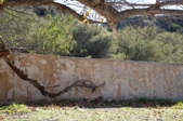 Enlarge photo 70