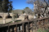 Enlarge photo 76