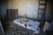 Enlarge photo 108