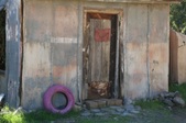 Enlarge photo 160