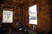 Enlarge photo 165