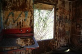 Enlarge photo 169