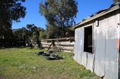 Enlarge photo 172
