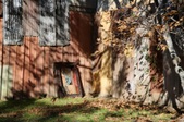 Enlarge photo 189