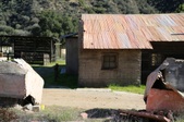 Enlarge photo 223