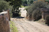 Enlarge photo 231