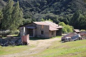 Enlarge photo 267