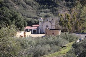 Enlarge photo 268