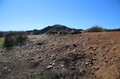 Enlarge photo 274