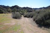 Enlarge photo 286