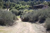 Enlarge photo 287