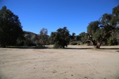 Enlarge photo 298