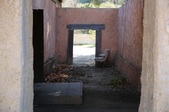 Enlarge photo 319