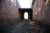 Enlarge photo 323