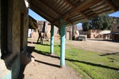 Enlarge photo 347