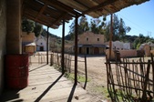 Enlarge photo 369