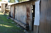 Enlarge photo 407