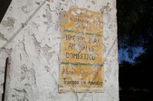 Enlarge photo 443