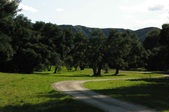 Golden Oak Ranch