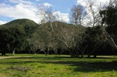 Enlarge photo 34