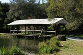 Enlarge photo 45
