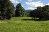 Enlarge photo 46