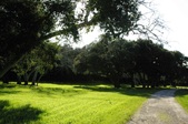 Enlarge photo 49