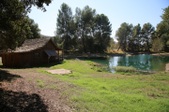 Enlarge photo 50
