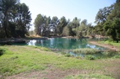 Enlarge photo 51