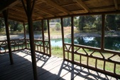 Enlarge photo 60
