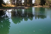 Enlarge photo 61