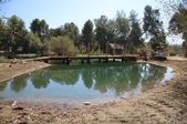 Enlarge photo 63