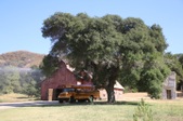 Enlarge photo 76