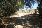 Enlarge photo 88