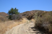 Enlarge photo 90