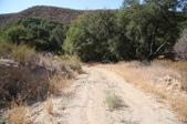 Enlarge photo 92