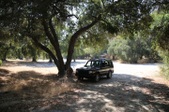 Enlarge photo 93