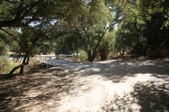 Enlarge photo 94