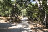Enlarge photo 97