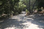Enlarge photo 98