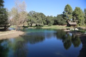 Enlarge photo 114