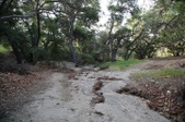 Enlarge photo 33