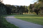 Enlarge photo 67