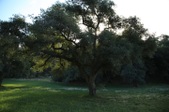 Enlarge photo 74