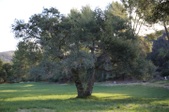 Enlarge photo 76