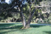 Enlarge photo 82