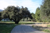 Enlarge photo 89