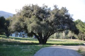 Enlarge photo 90